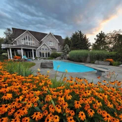 KreteTek Ghostshield Siloxa-Tek 8500 Concrete Water Repellent And Sealer- Concentrate 11 KreteTek Ghostshield Siloxa-Tek 8500 Concrete Water Repellent And Sealer- Concentrate -DIY HOME CENTER Shop KRTS8500C main 50